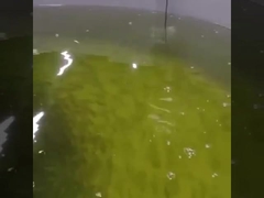 Онлайн оптически растворенный датчик кислорода датчика Rs485 кислорода оптически